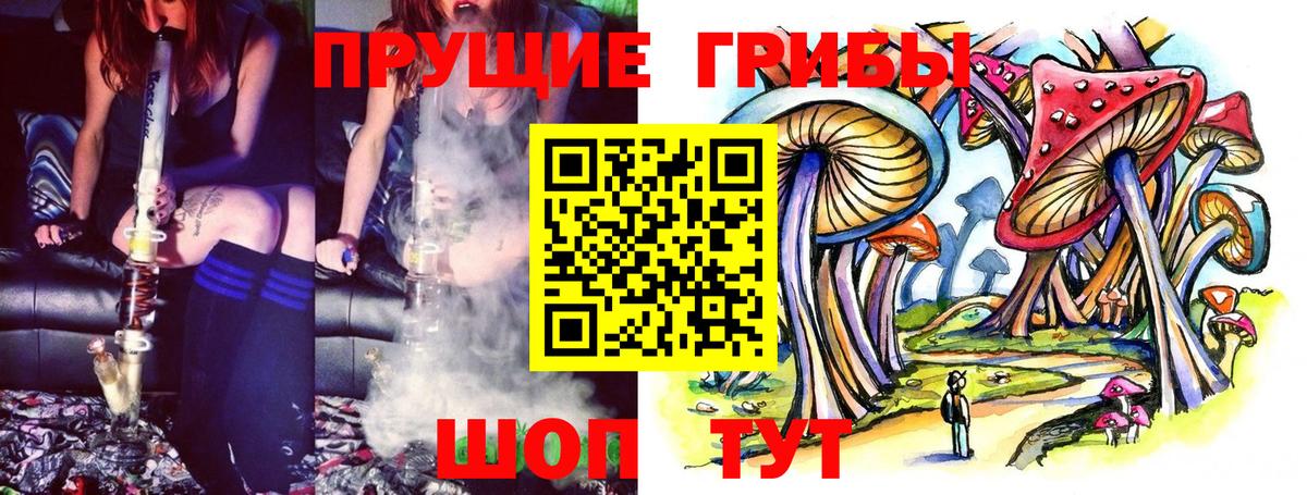 Тулун  Галлюциногенные грибы Psilocybe  Вход с VPN 