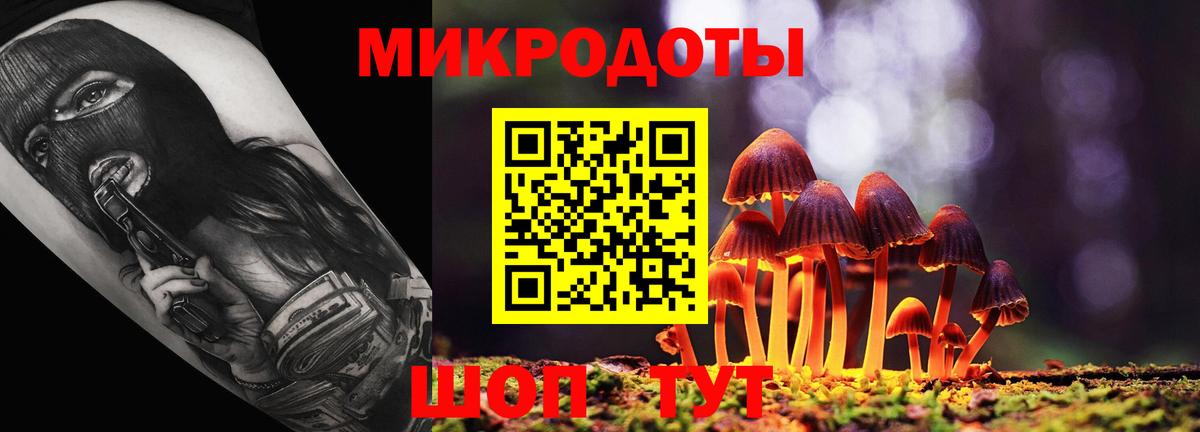 Псилоцибиновые грибы мицелий Тулун